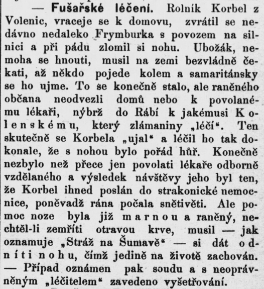 Plzeňské listy (5.8.1902).jpg